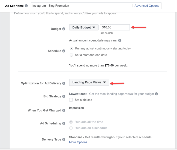 Daily Budget and Ad Delivery Strategy