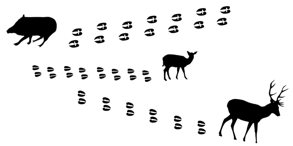 campaign tracking in google analytics