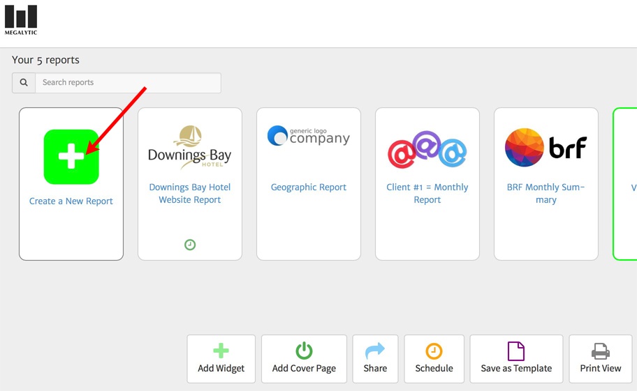 Create a Report in Megalytic