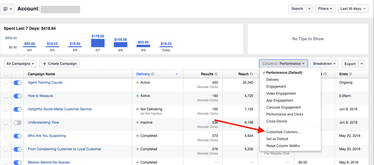 Facebook Ads Manager - Customize Columns