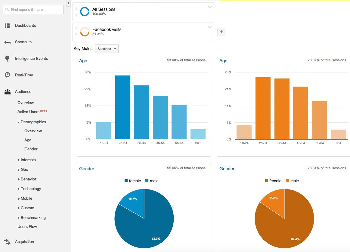 google analytics showing demographics of facebook traffic