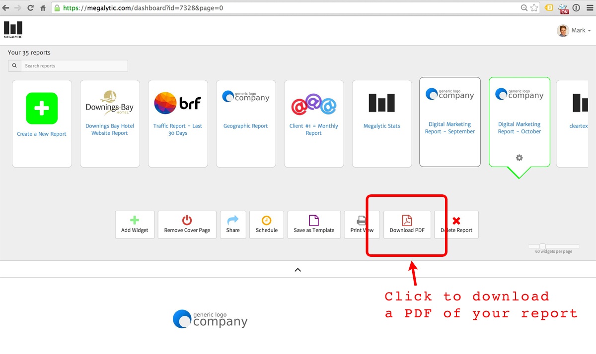 downloading a megalytic report as a PDF