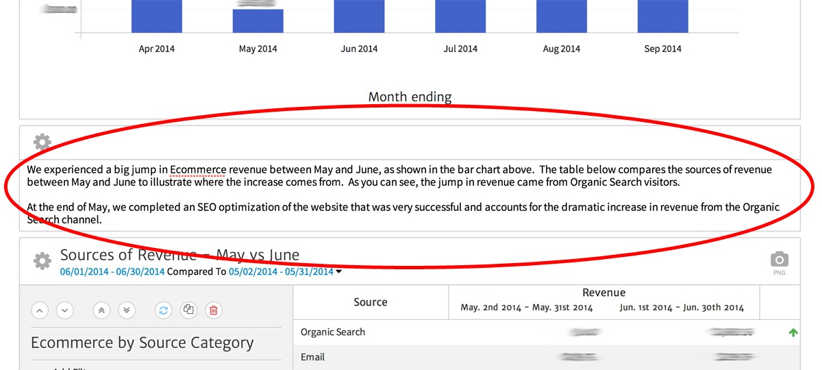 a note, or text comment, inserted into a megalytic report