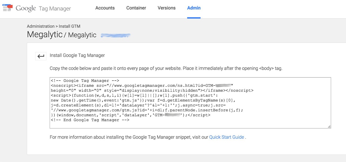 Google Tag Manager Code Snippet