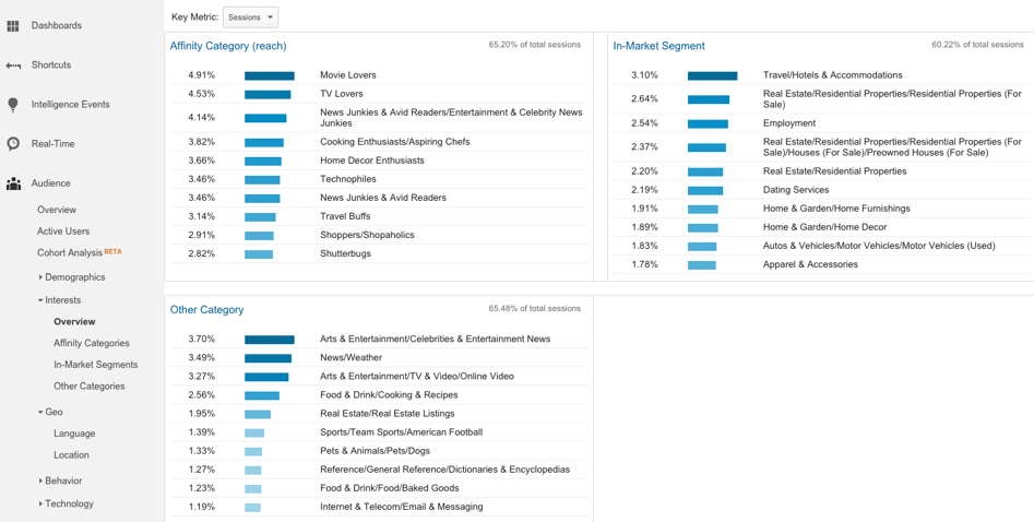 Google Analytics Interests Overview