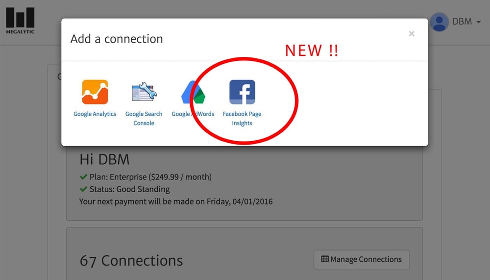 Megalytic's New Facebook Connection