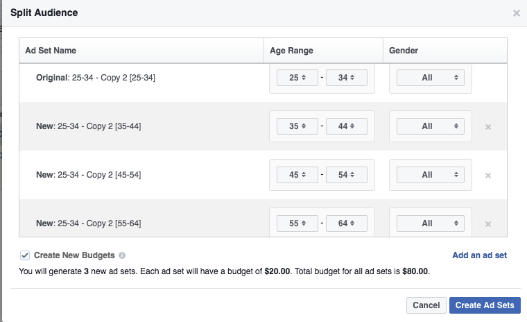 Facebook Power Editor Split Audiences