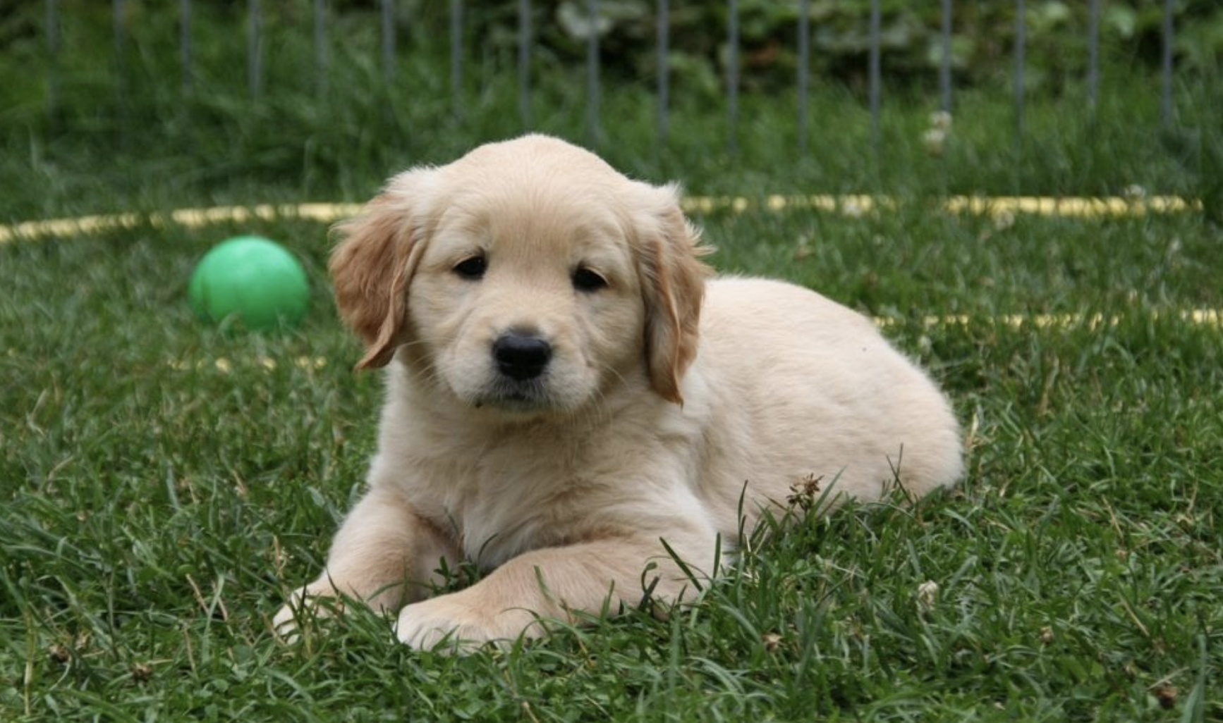 Screen Shot 2020-01-22 at 5.06.12 PM