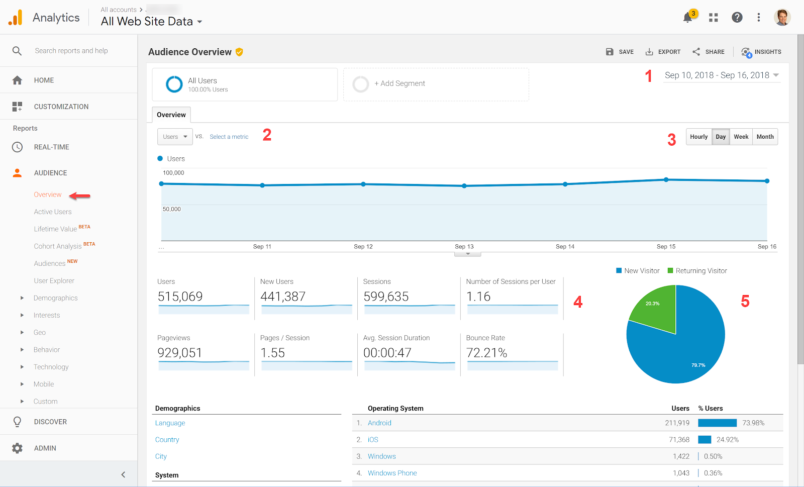 audience-overview-1 (1)